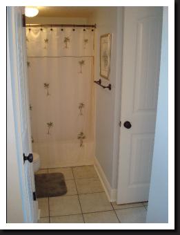 master bathroom shower